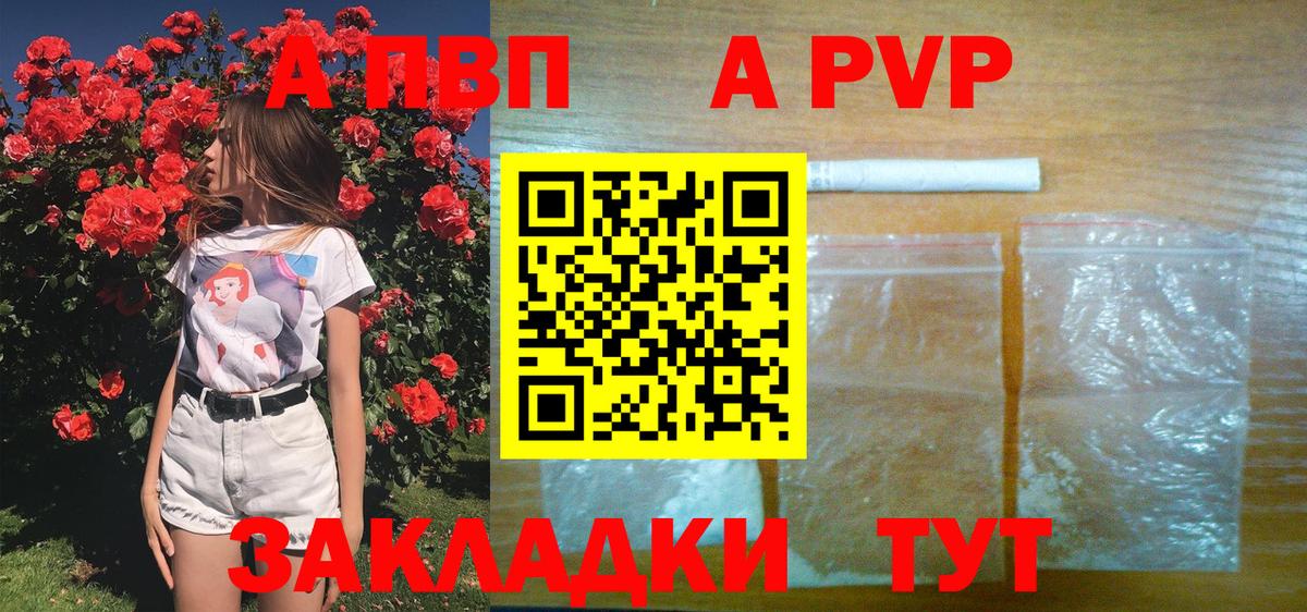 Alfa_PVP СК КРИС Лабытнанги