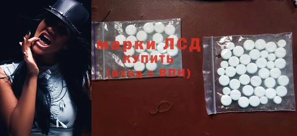 прущие грибы Краснотурьинск