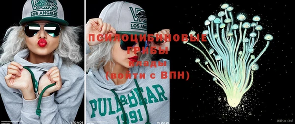 соль ск Коряжма