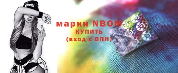 прущие грибы Краснотурьинск
