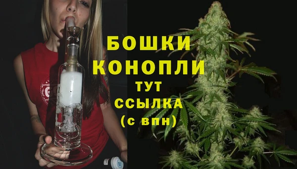соль ск Коряжма