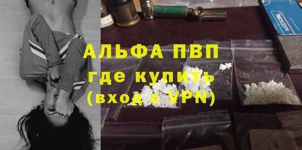 шишки Краснослободск