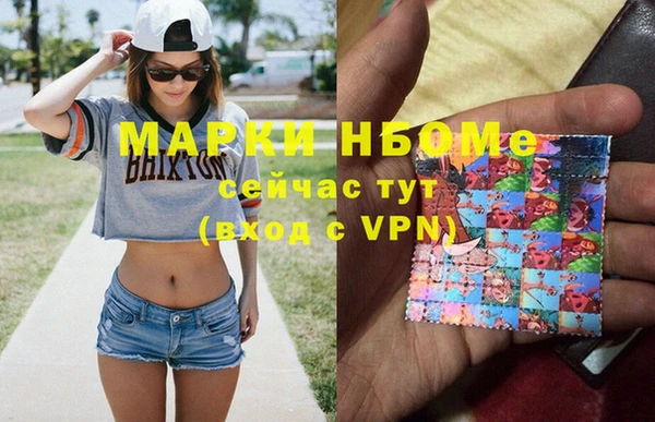 прущие грибы Краснотурьинск