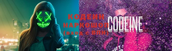 прущие грибы Краснотурьинск