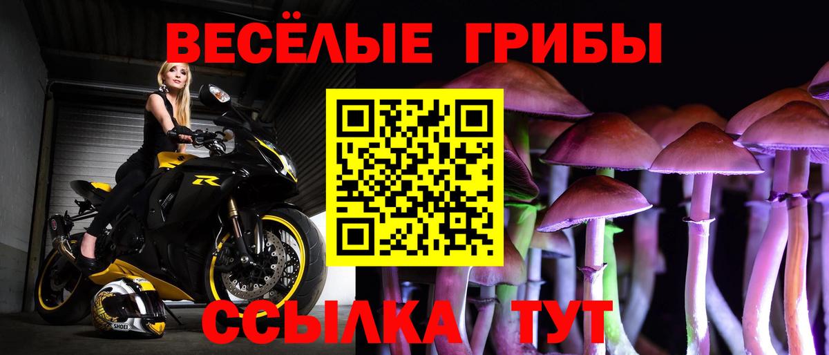 Галлюциногенные грибы GOLDEN TEACHER Лабытнанги